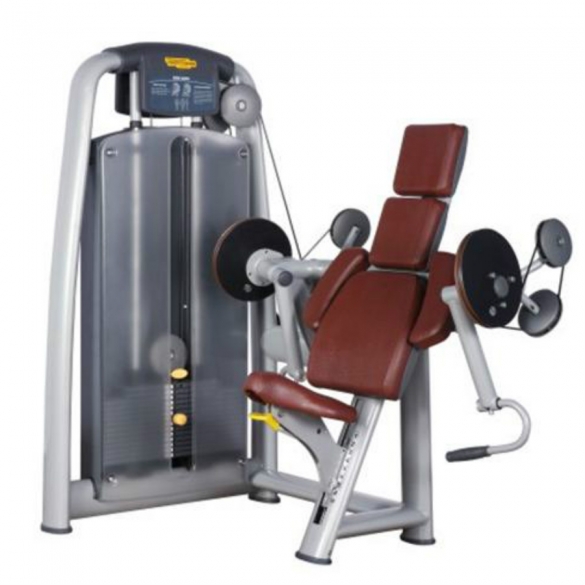 Technogym Arm Extension - Selection Line TECHNOM945